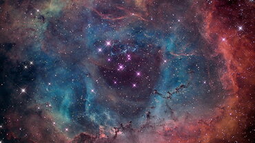 best-astrologer-in-velachery